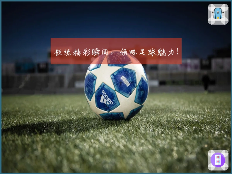 教练精彩瞬间，领略足球魅力！