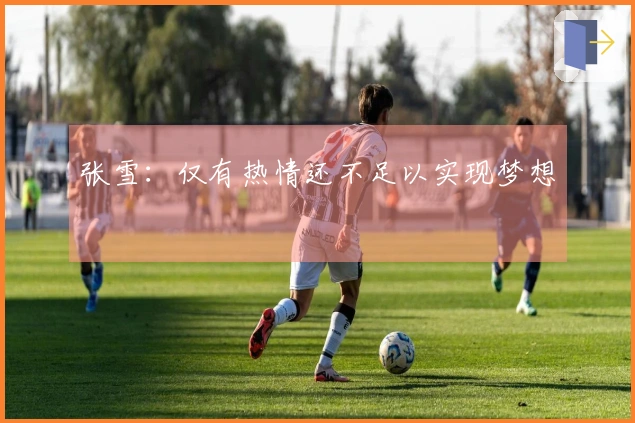 张雪：仅有热情还不足以实现梦想