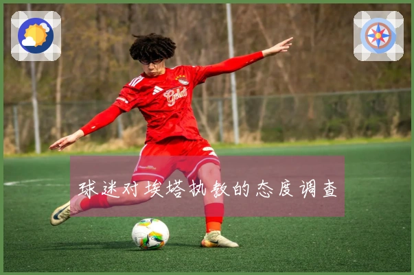 球迷对埃塔执教的态度调查