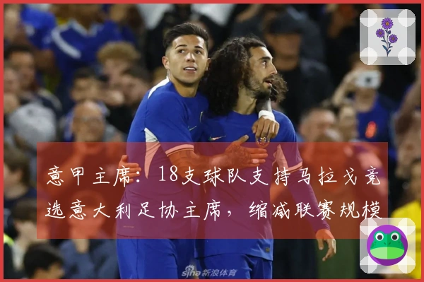 意甲主席：18支球队支持马拉戈竞选意大利足协主席，缩减联赛规模至关重要