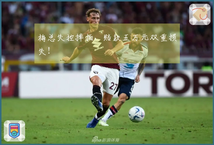 梅总失控摔拍，赔款五万元双重损失！