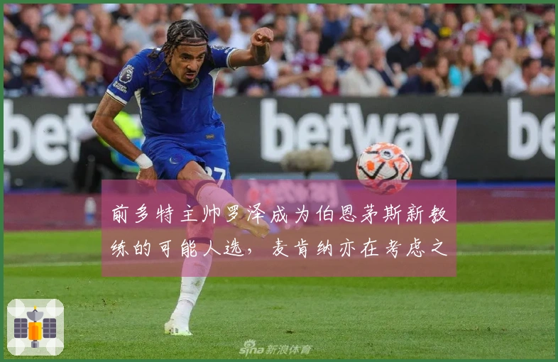 前多特主帅罗泽成为伯恩茅斯新教练的可能人选，麦肯纳亦在考虑之中
