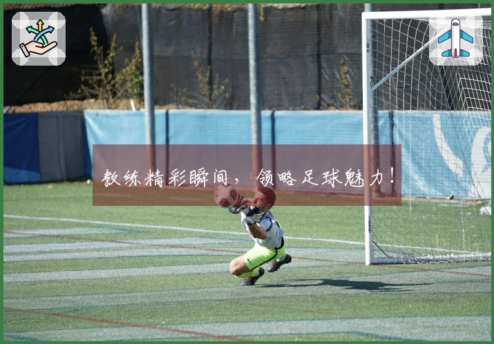教练精彩瞬间，领略足球魅力！